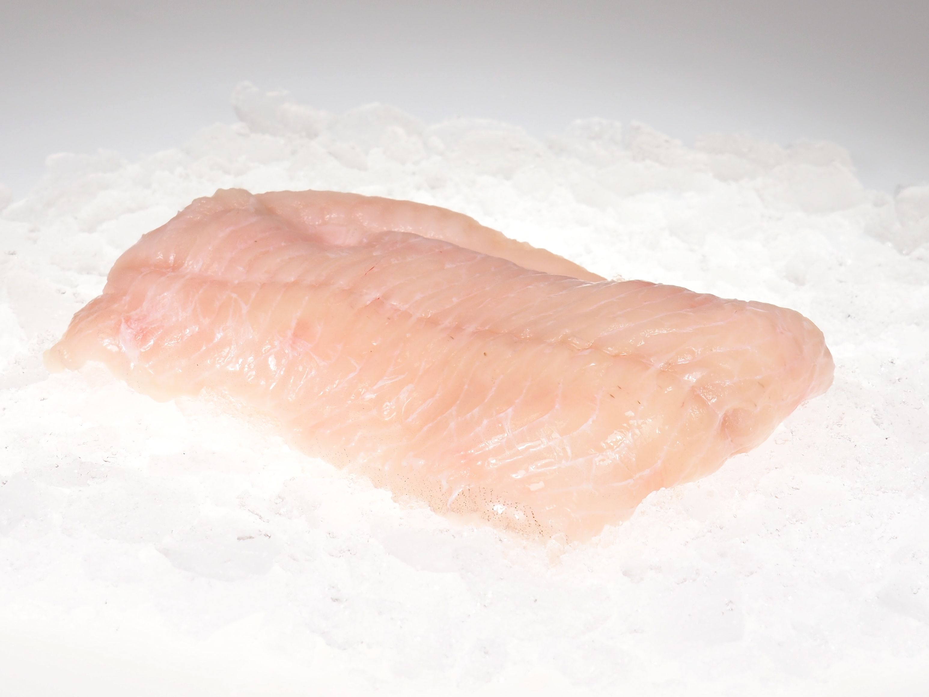 Steinbeisser-Filet