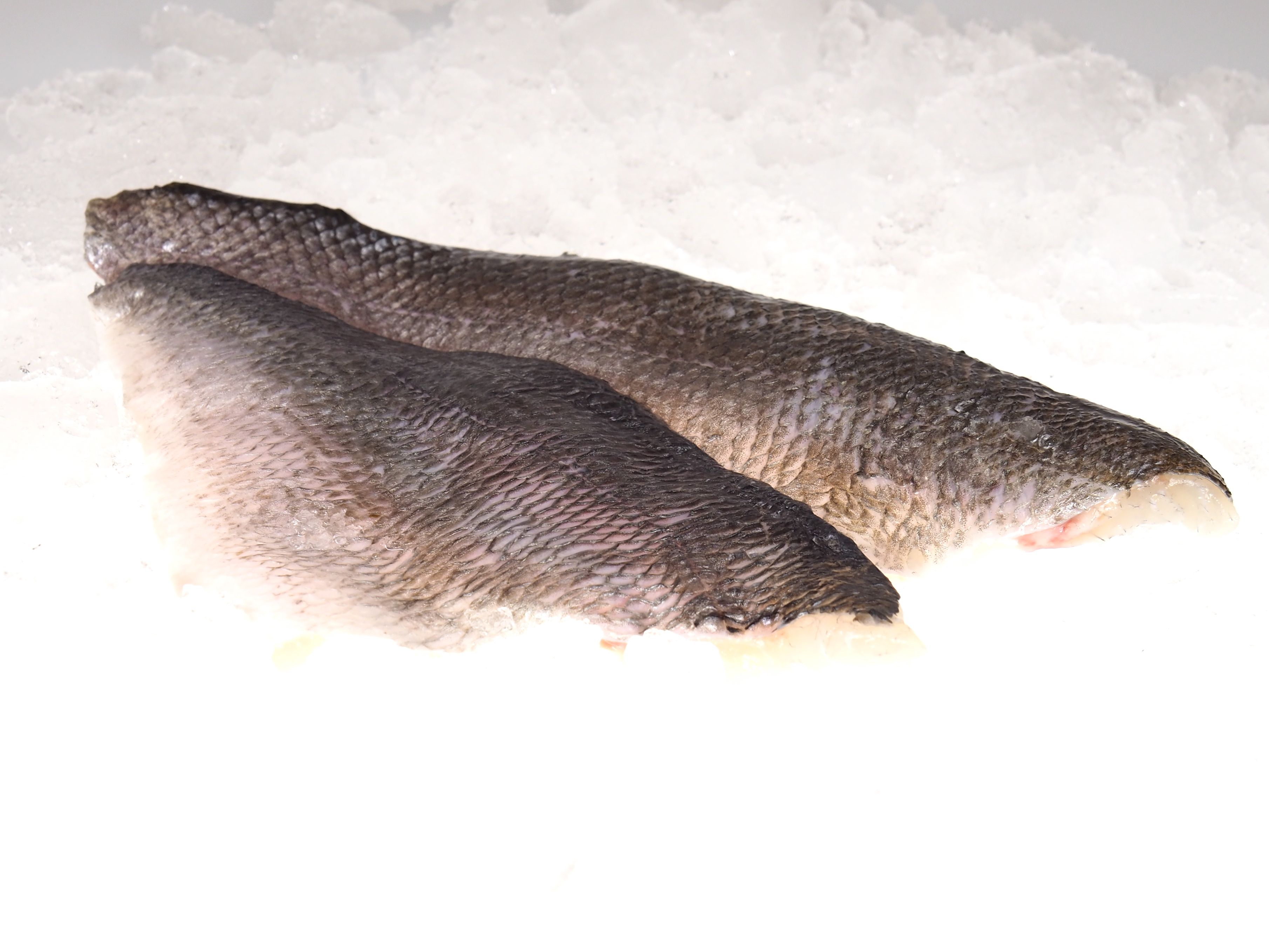 Dorade-royal-Filet Dorade royal Filet