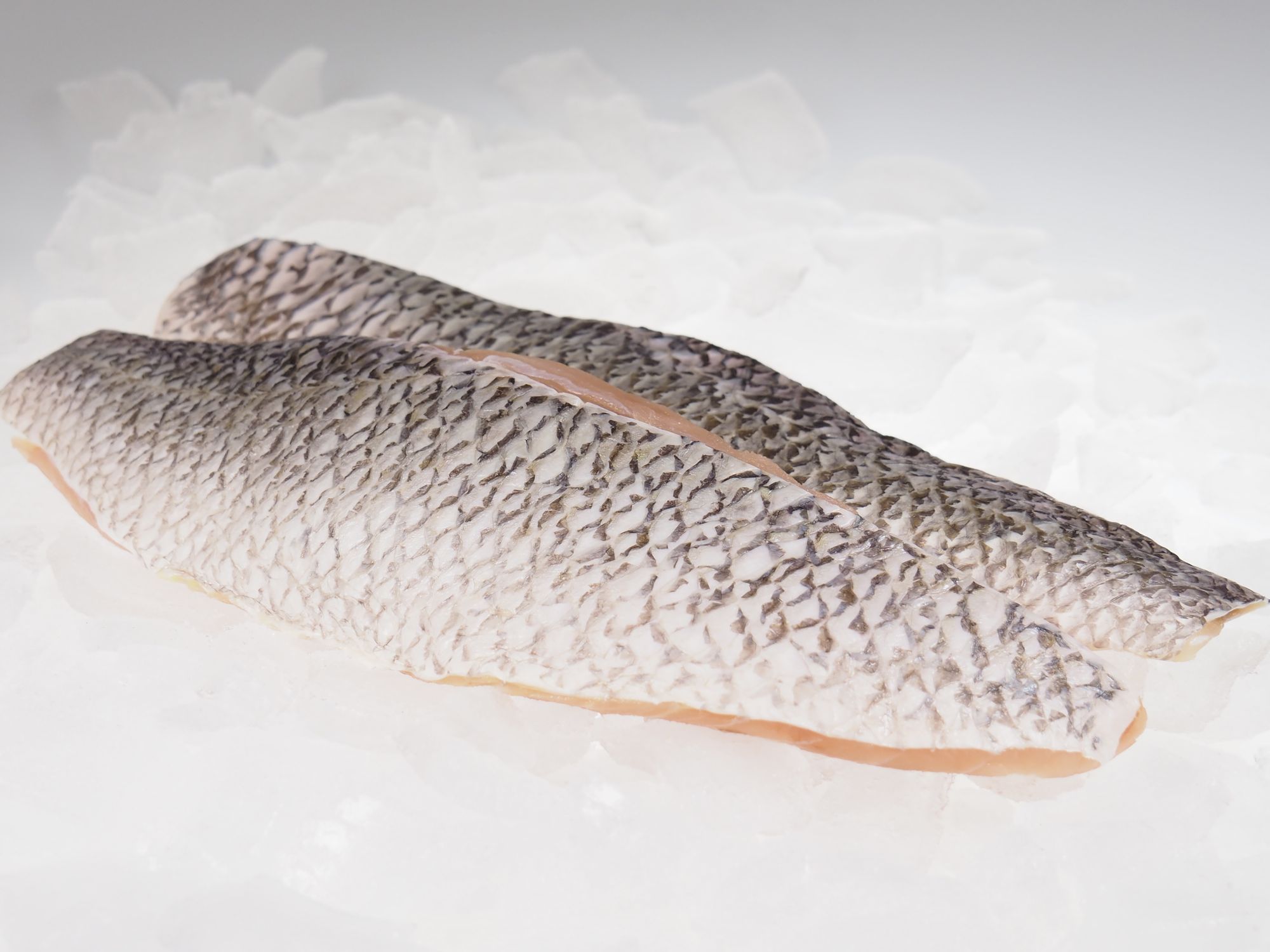 Barramundifilet Barramundifilet