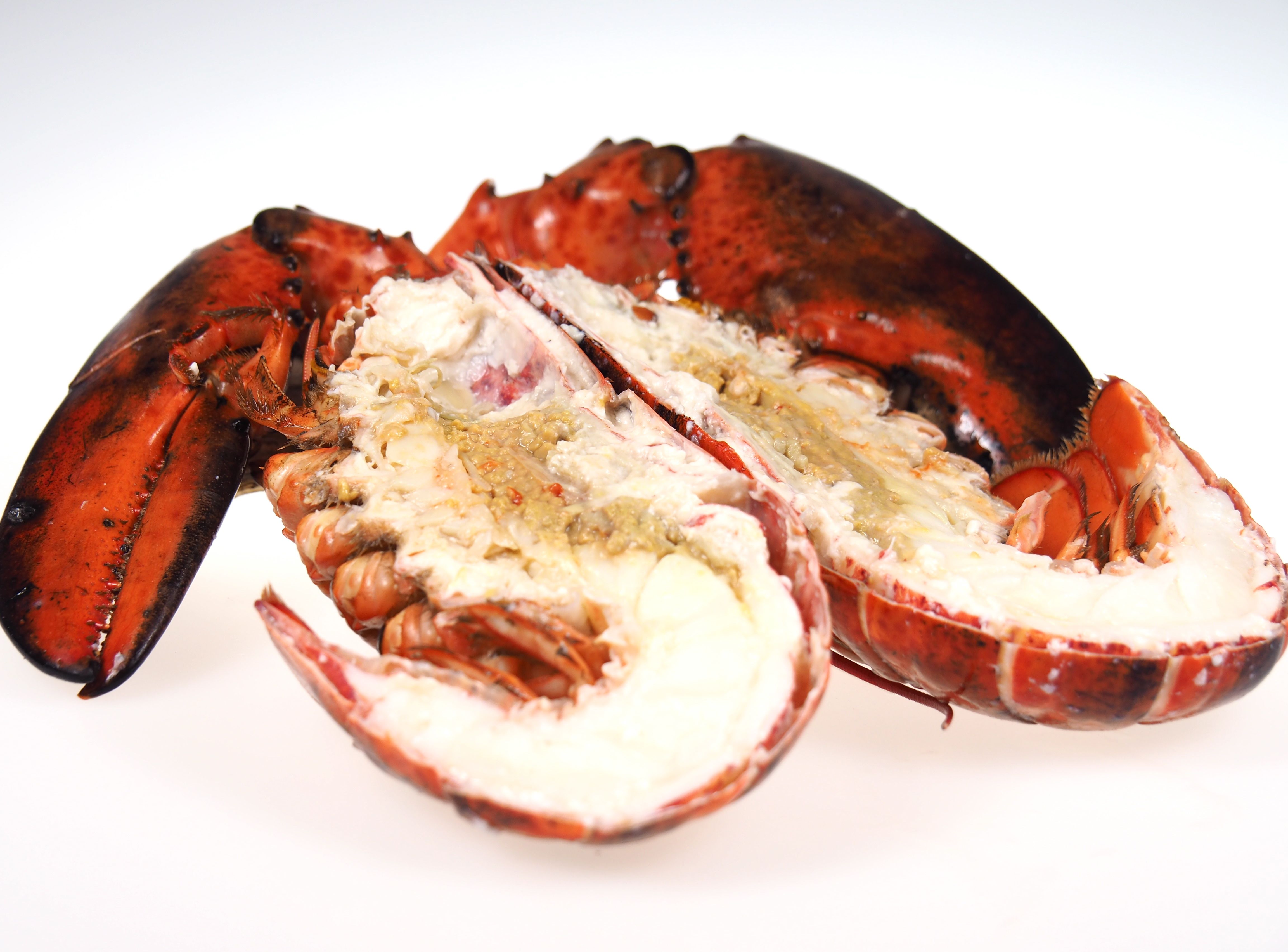 Hummer-gekocht-und-gespalten Hummer gekocht und gespalten