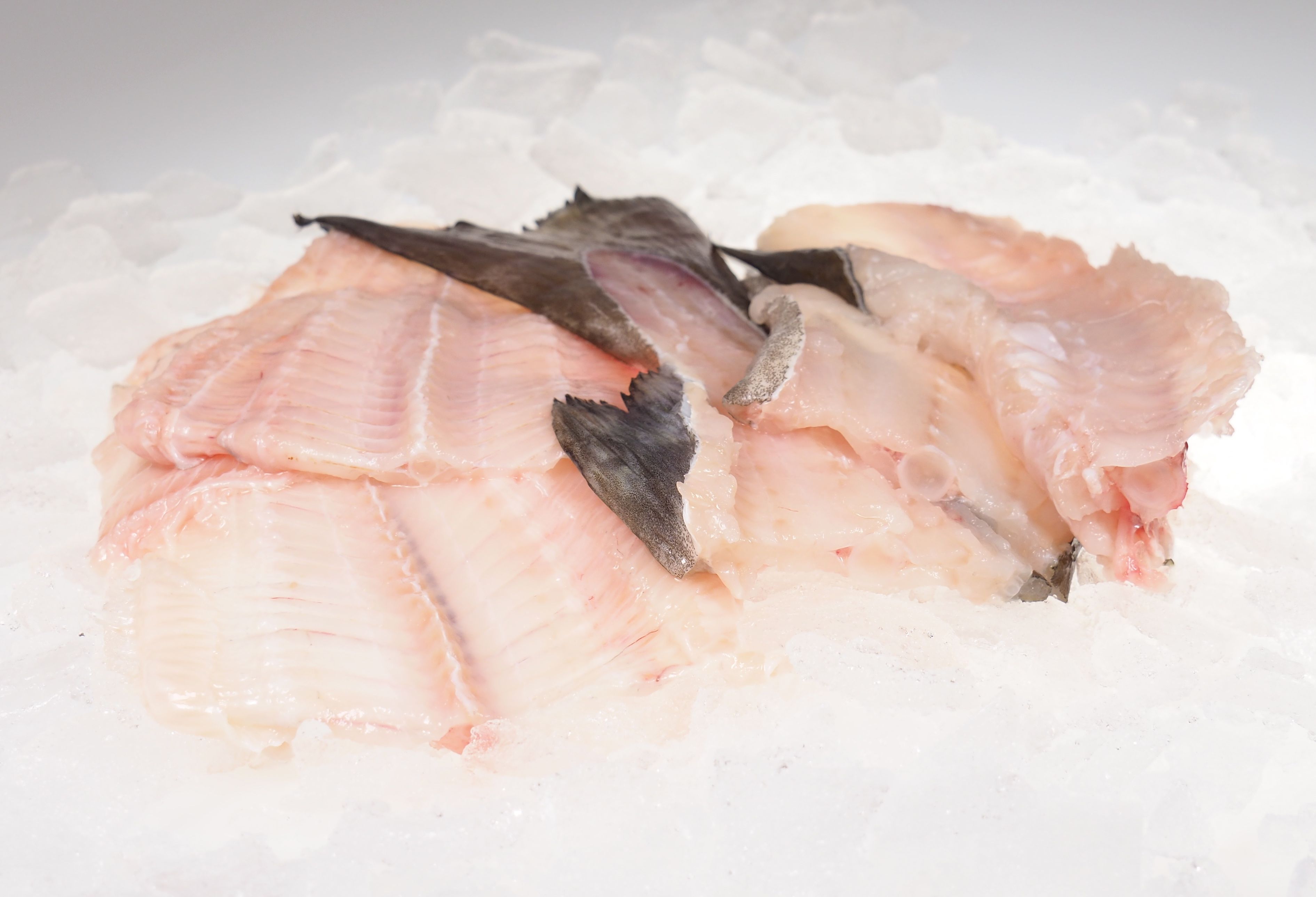 Fischkarkassen-Weissfisch