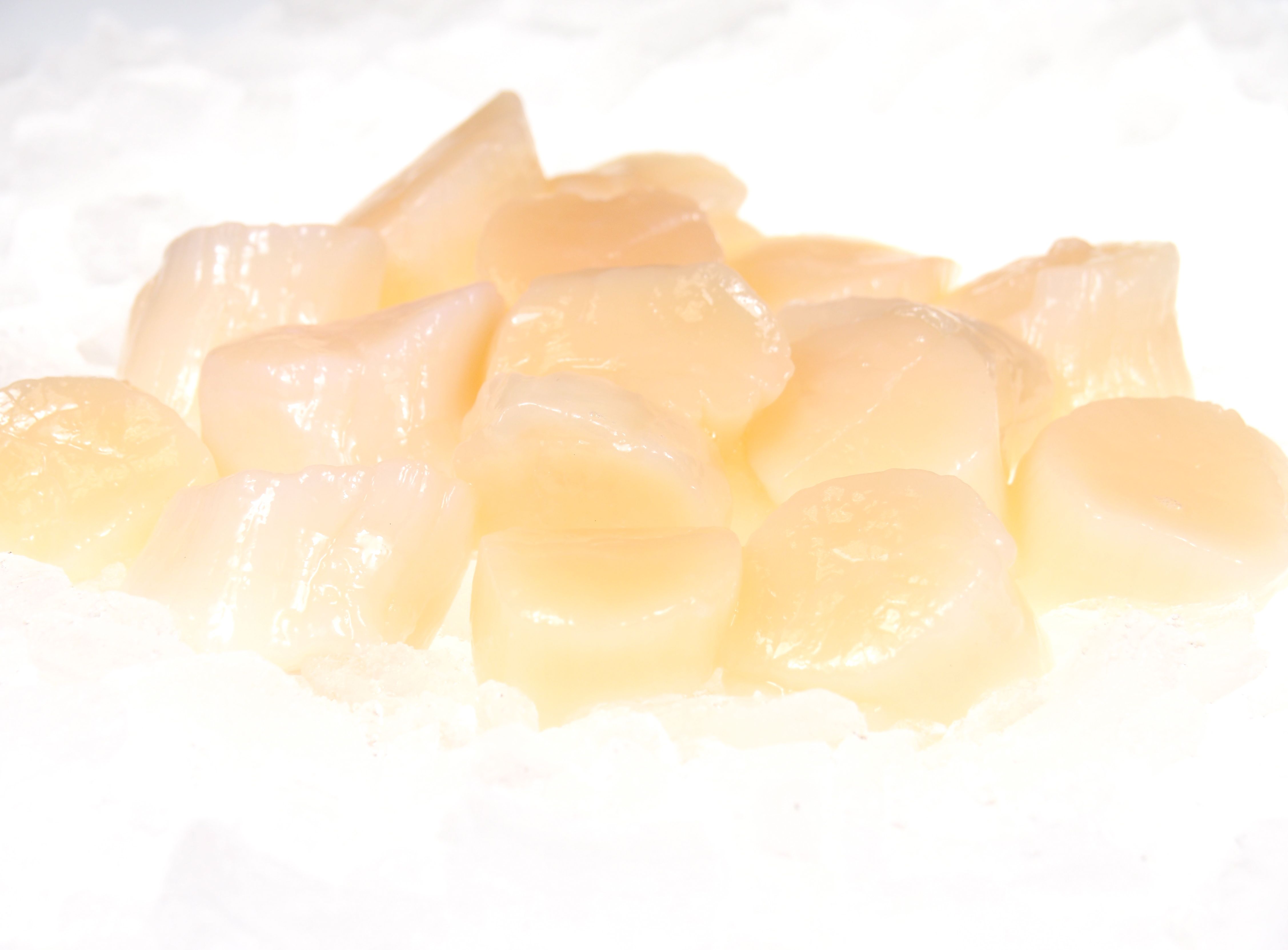 Kammmuscheln Kammmuscheln 1 kg Becher