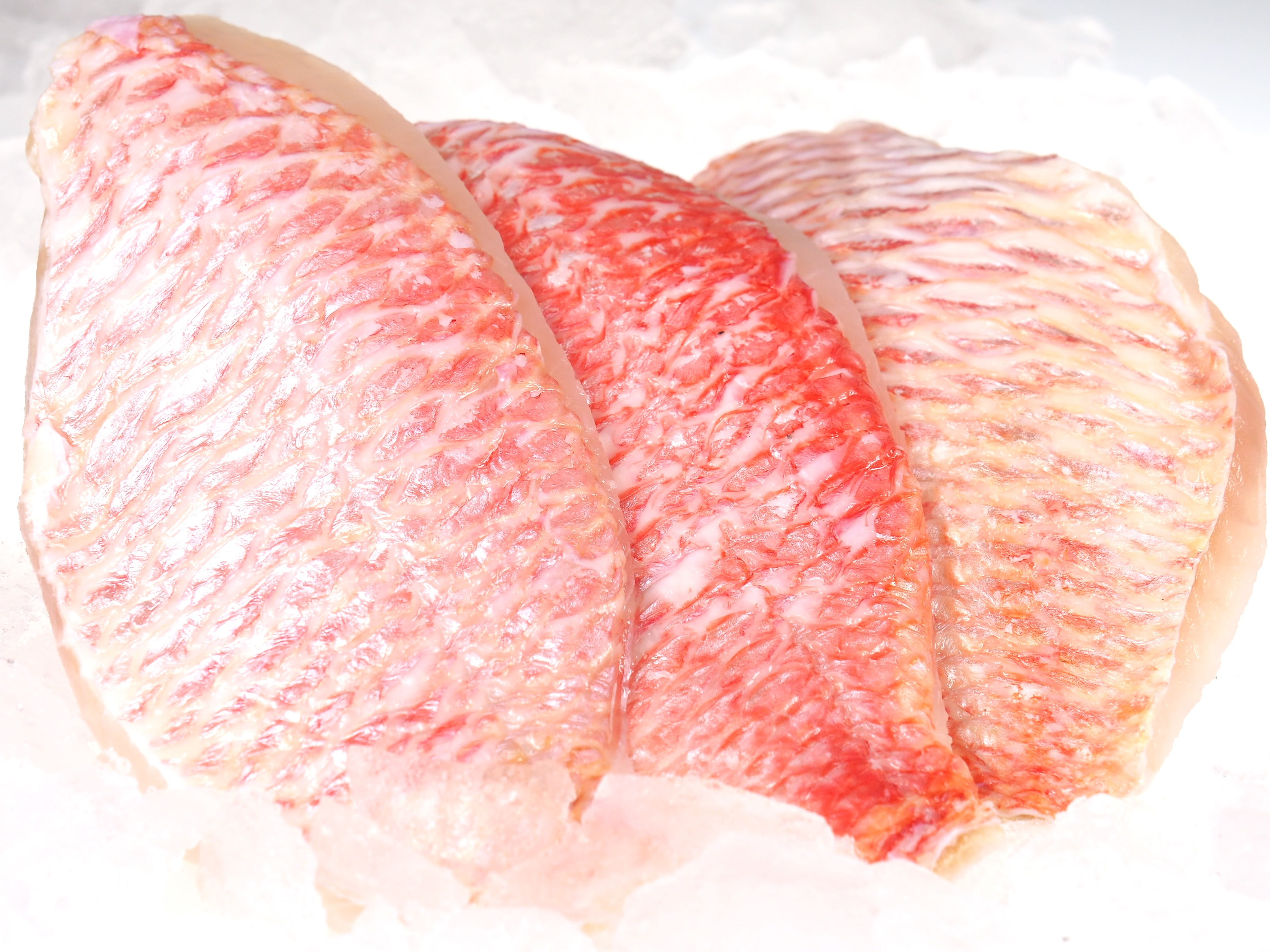 Red-Snapper-Filet