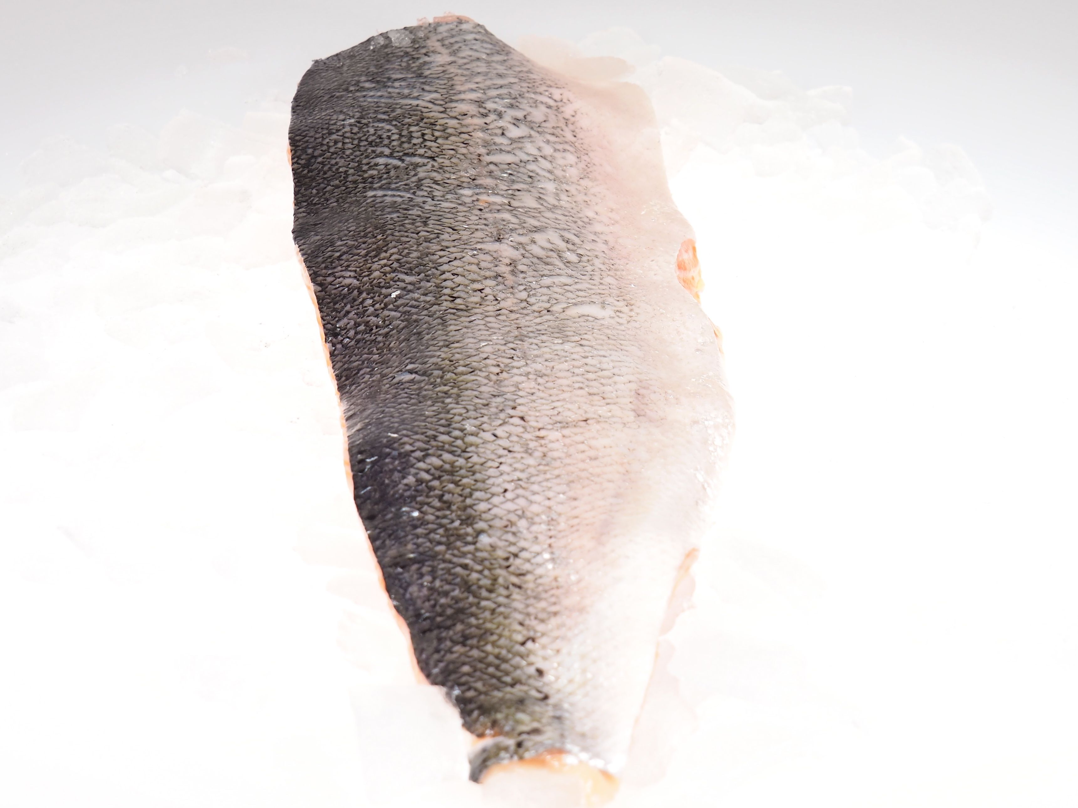 Lachsfilet-mit-Haut-geschuppt