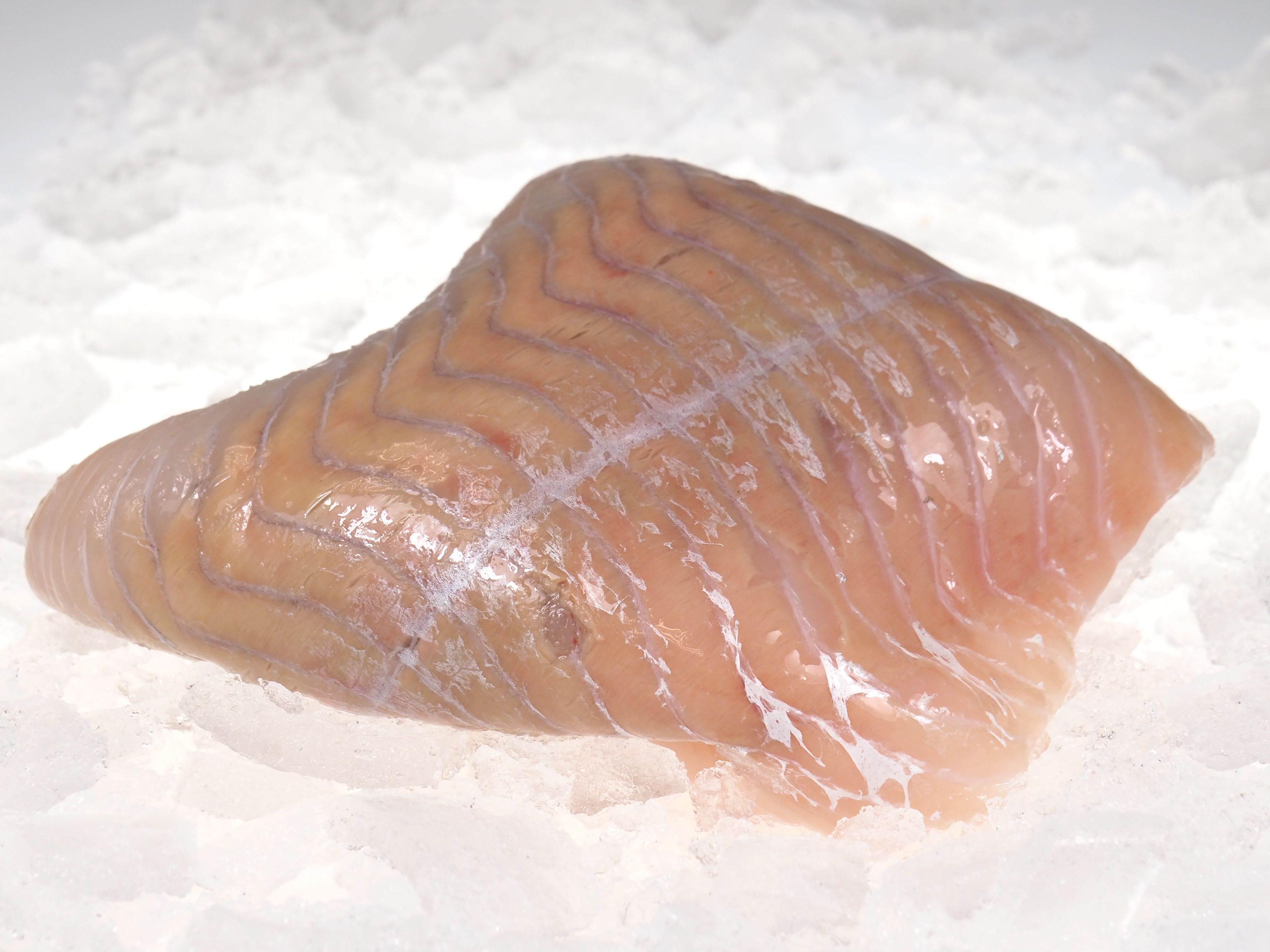 Seelachsfilet Seelachsfilet