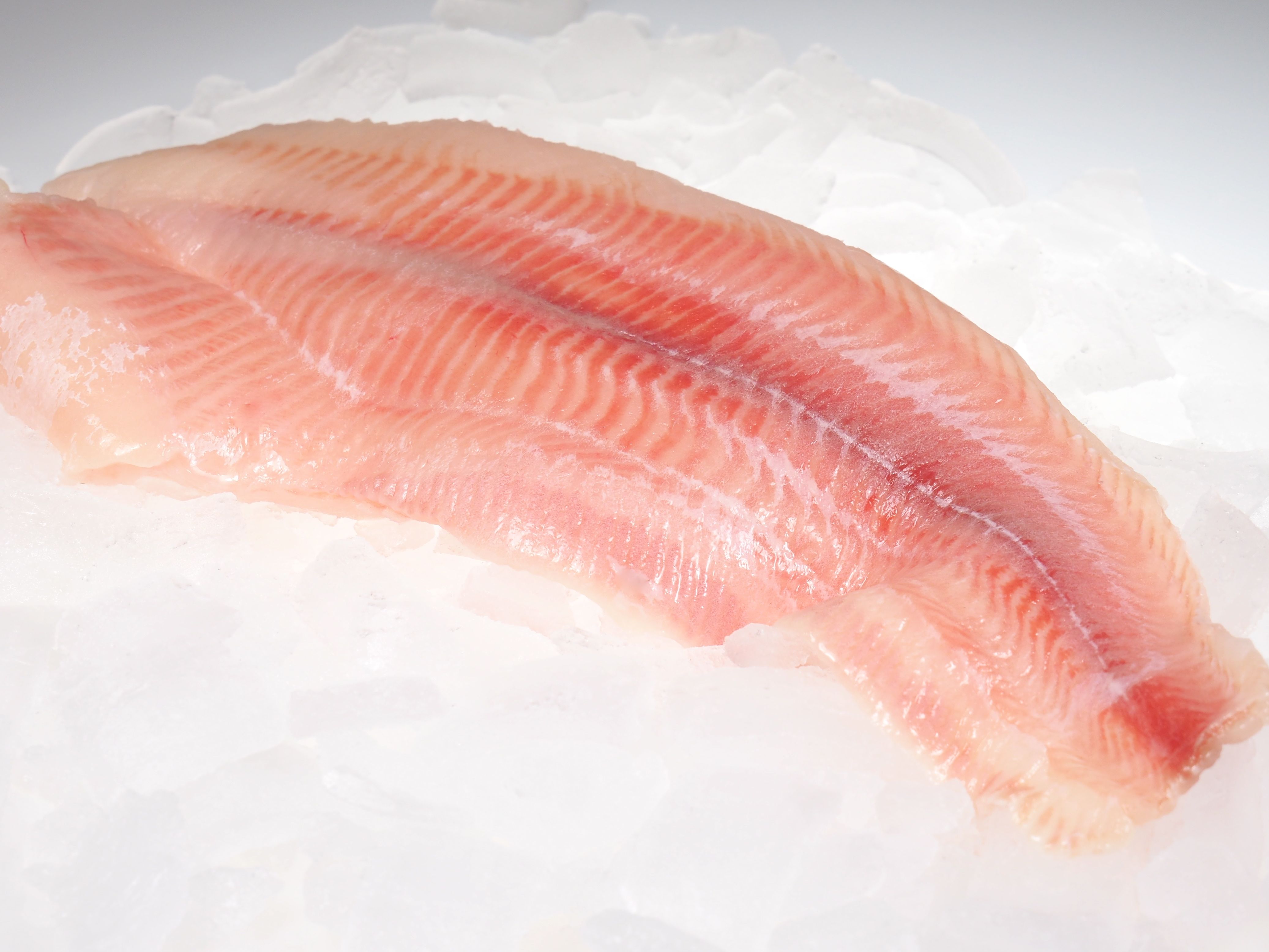 Edelwallerfilet