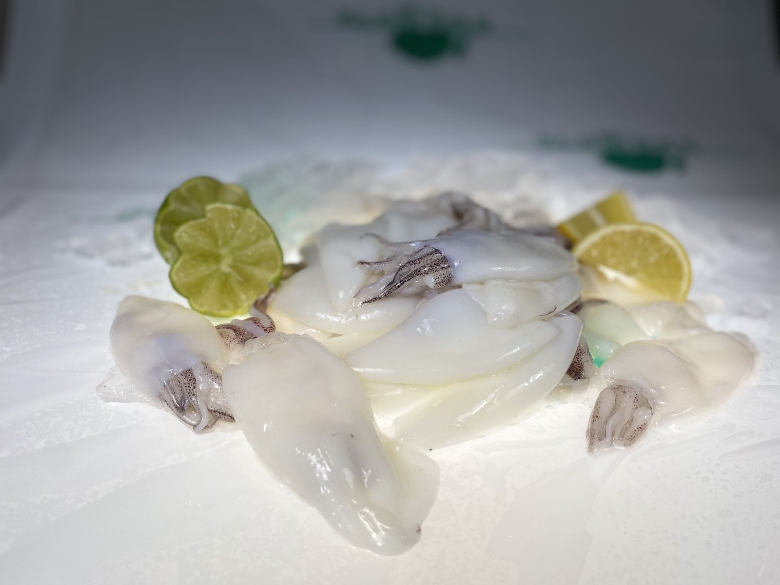 Squid1