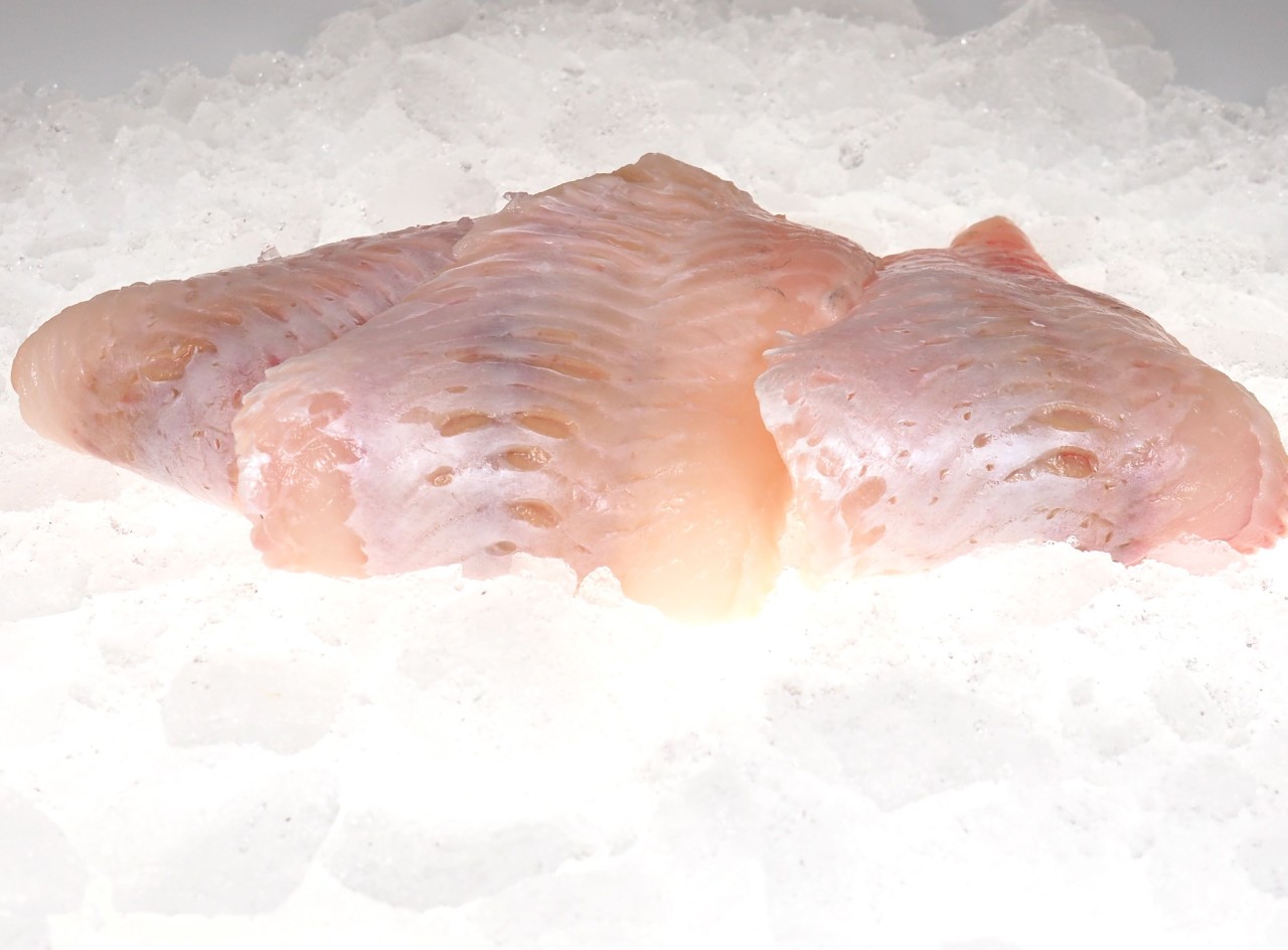 was kostet 1 kg rotbarschfilet